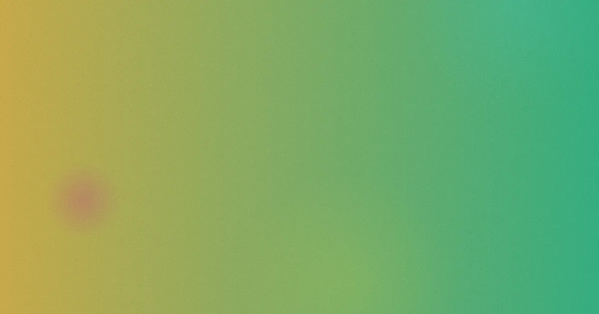 白玉蟾推荐：新手路线逐项对比